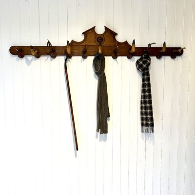 Large French taxidermy Coat & Hat Rack