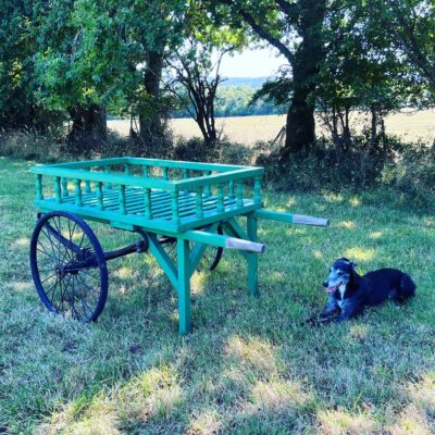 Vintage Flower Sellers Market Cart Stall