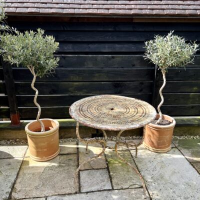 French Antique Wrought Iron Garden Table