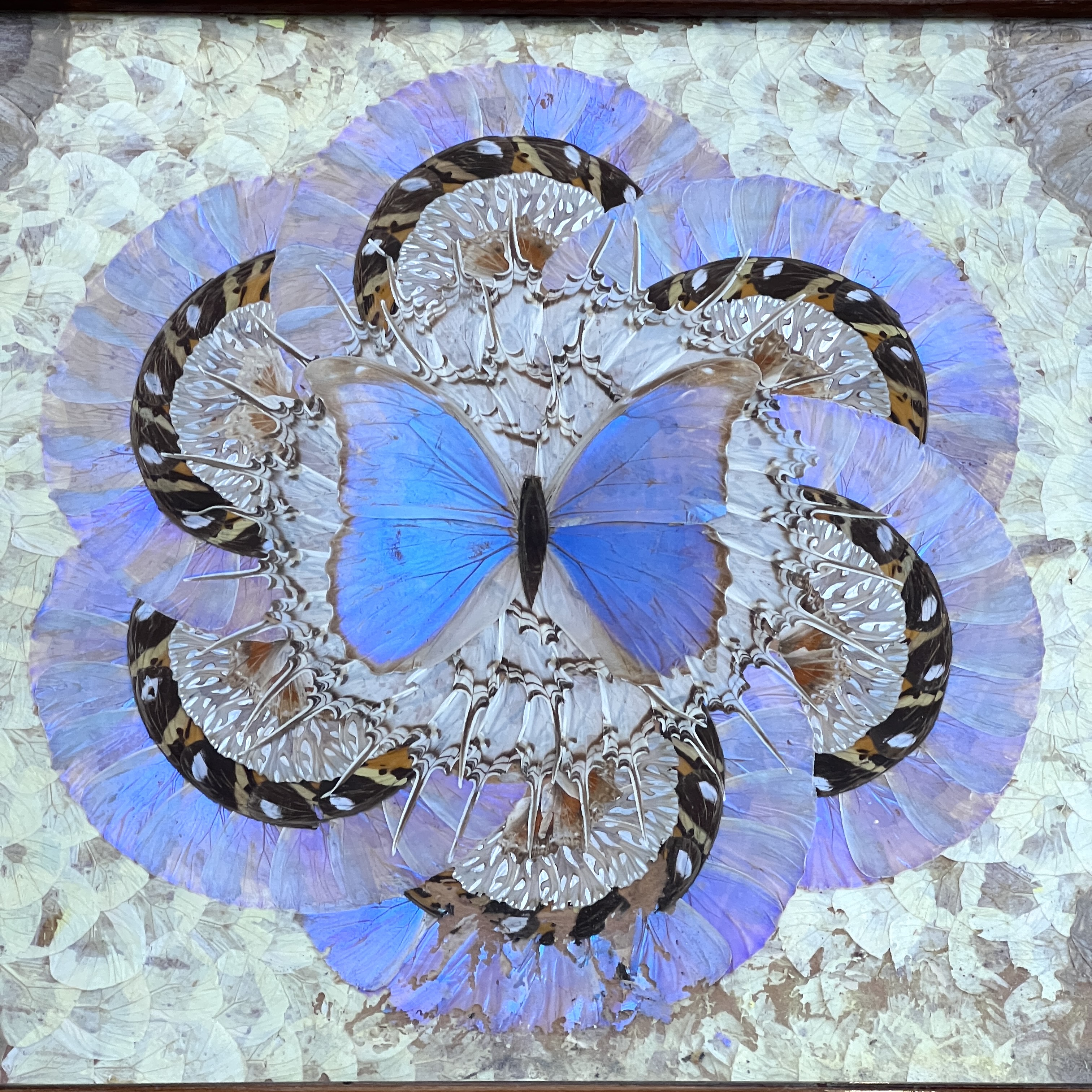 Antique Butterfly Tray - Image 6