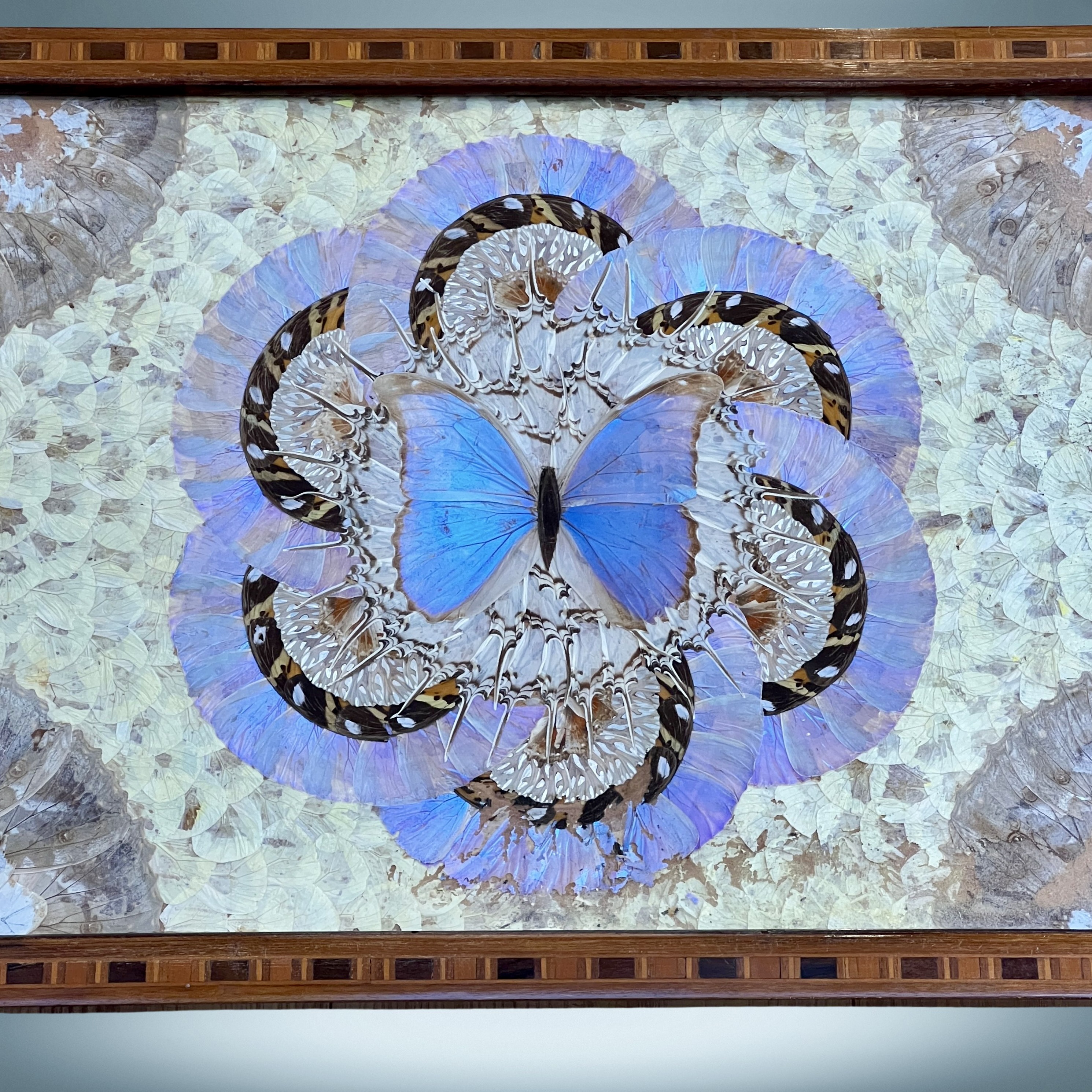 Antique Butterfly Tray - Image 2