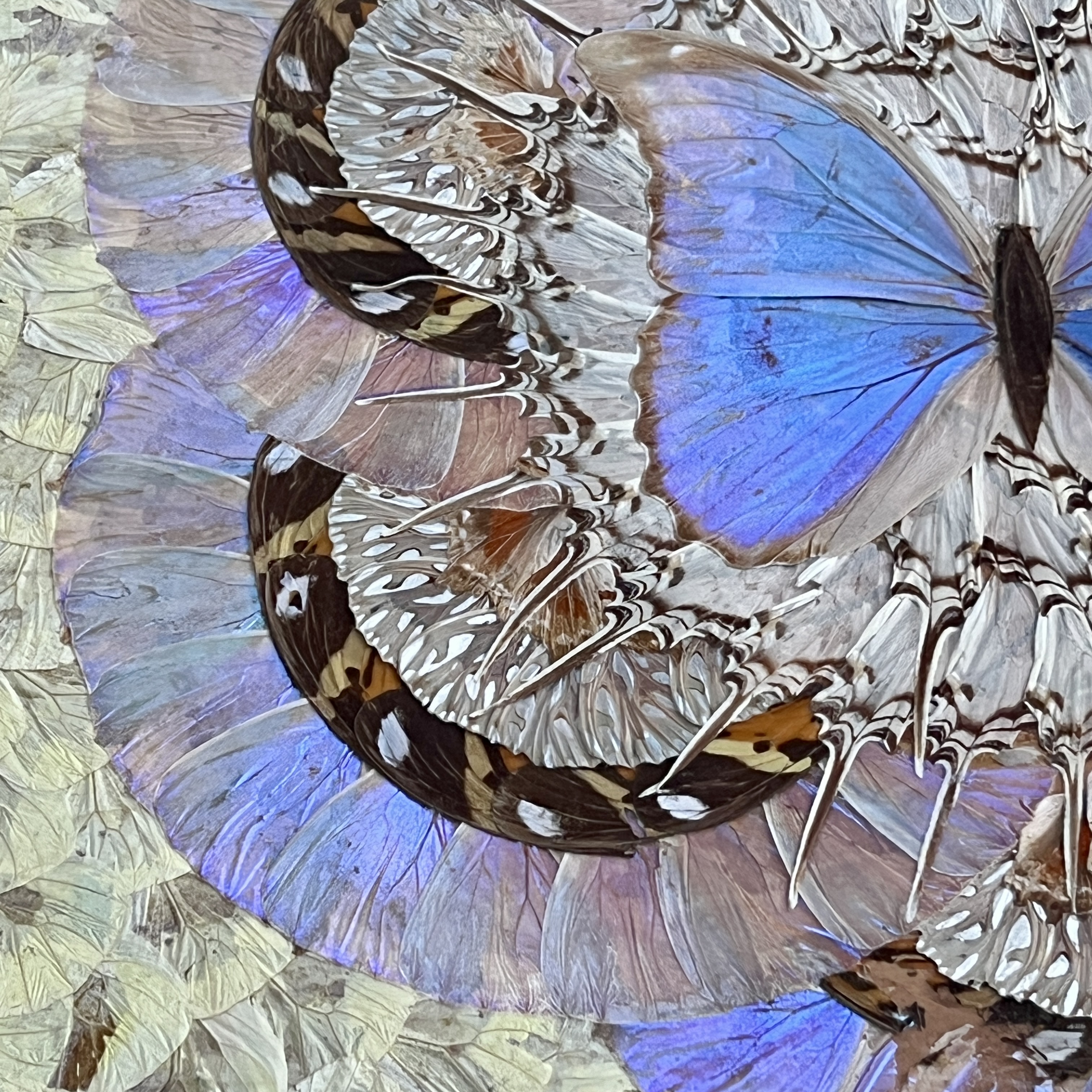 Antique Butterfly Tray - Image 4