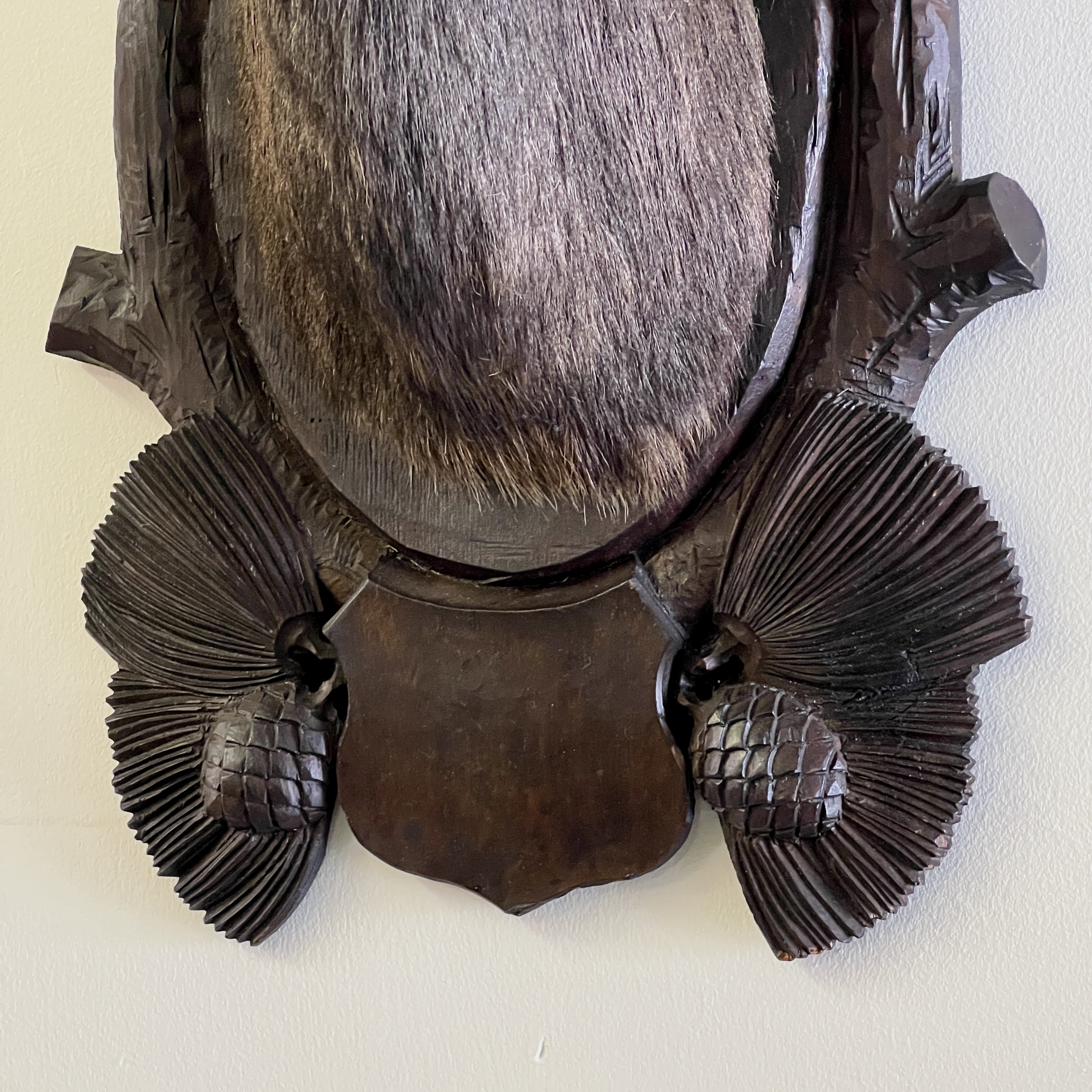 Pair Of Large Mounted Black Forest Chamois Taxidermy - Image 6