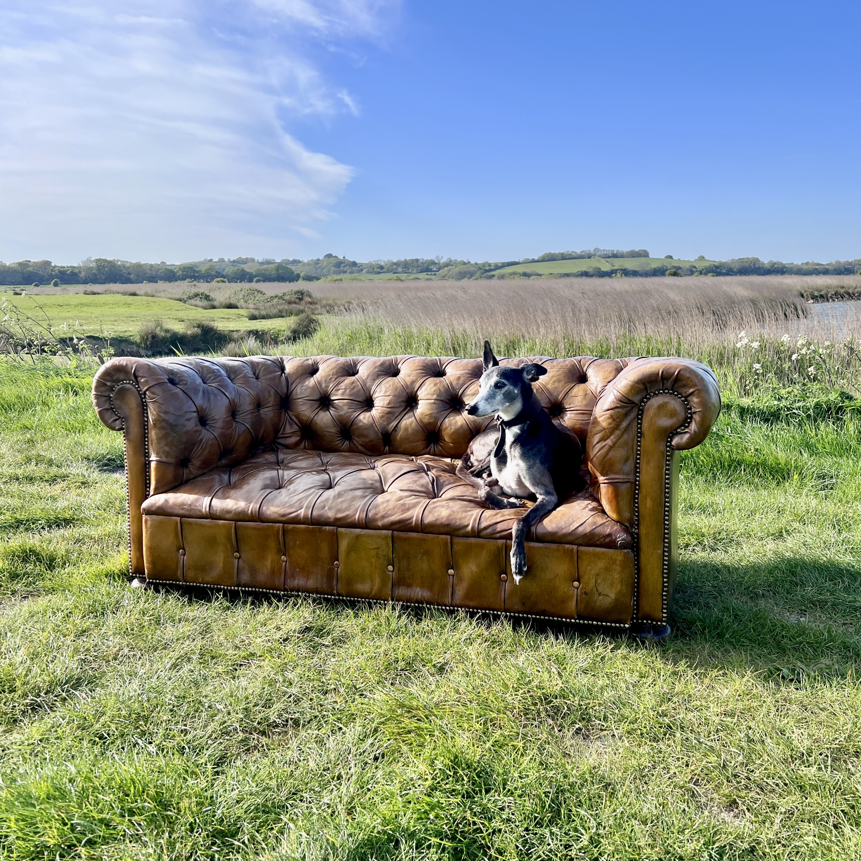 Antique Chesterfield Sofa 2 Seater Brown Leather Button Tufted Classic - Image 7