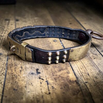 19th Century French Studded Leather Dog Collar with Brass Nameplate